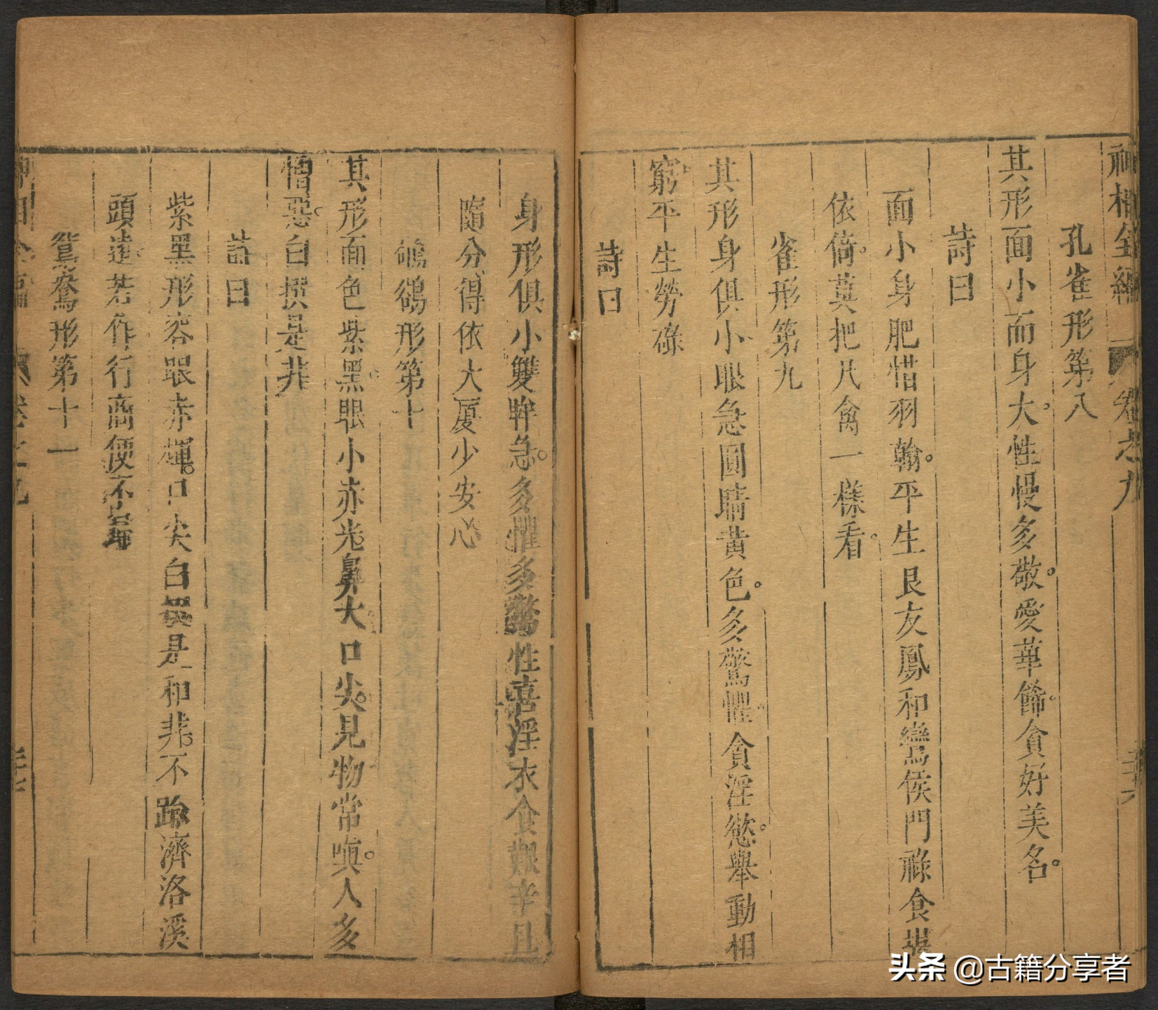 （神相全编） 卷九 古籍 相术之书