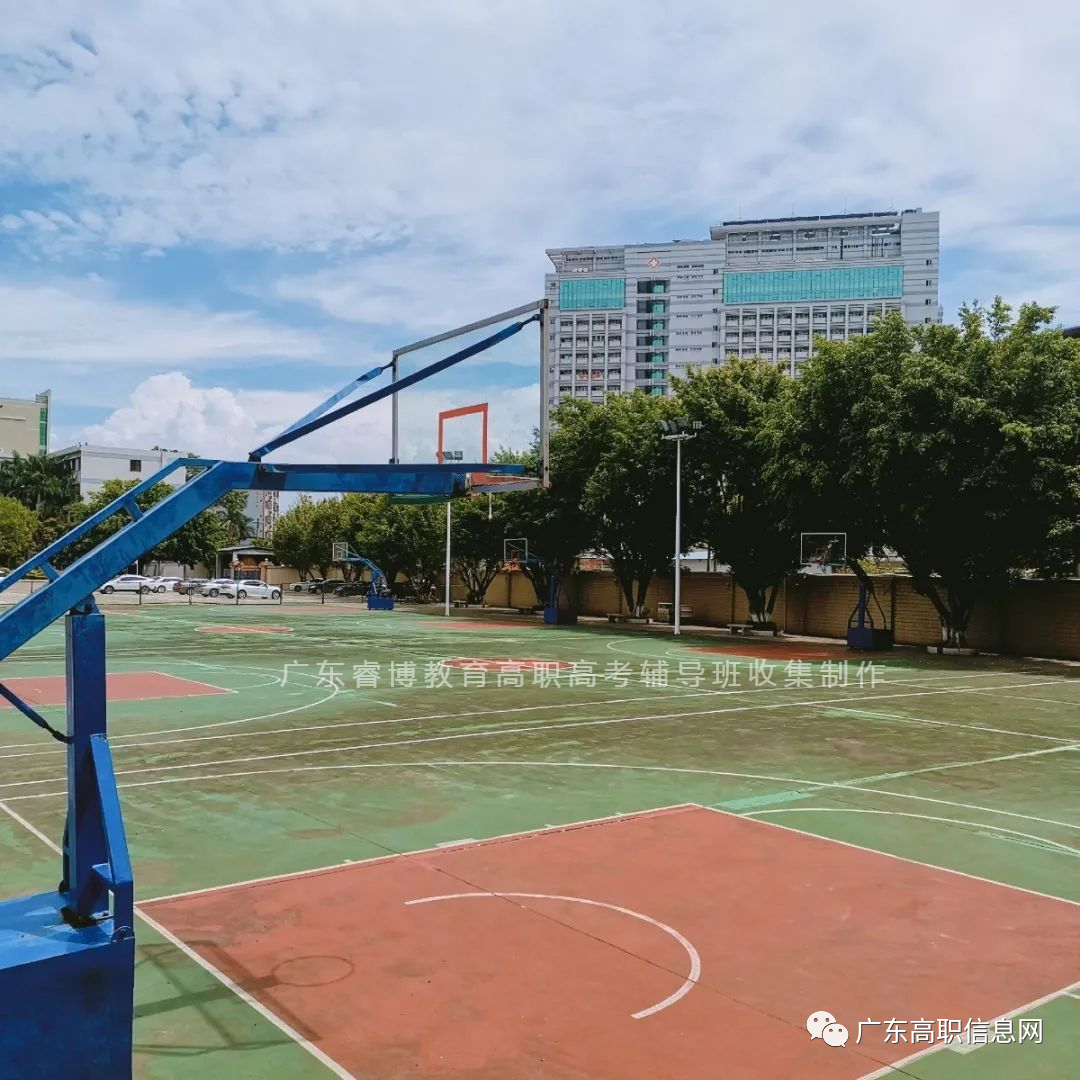 「公办本科」嘉应学院｜广东3+证书院校介绍