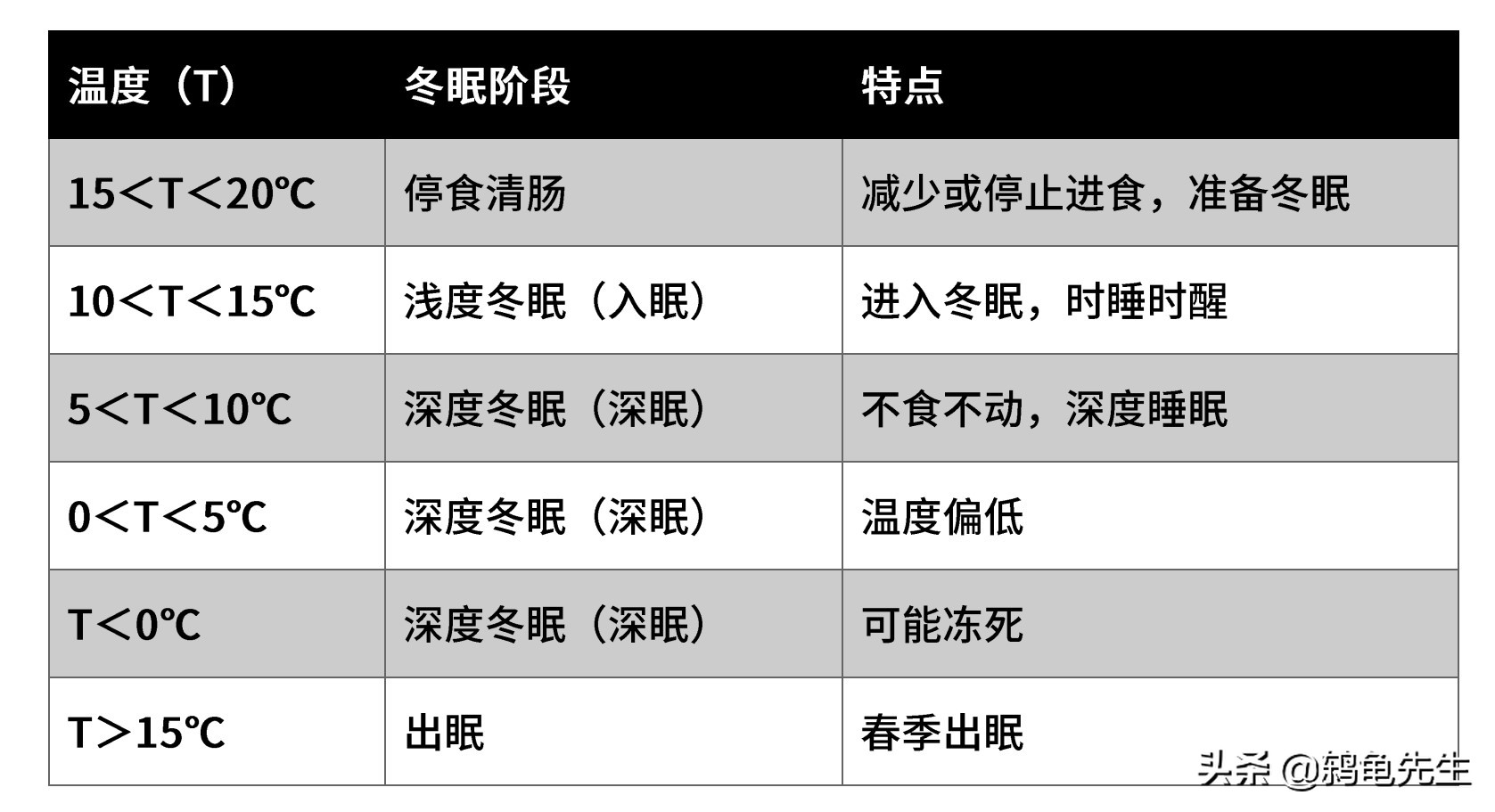 室内有暖气乌龟不冬眠应该怎样养？鸫龟先生详解冬季供暖养龟方法