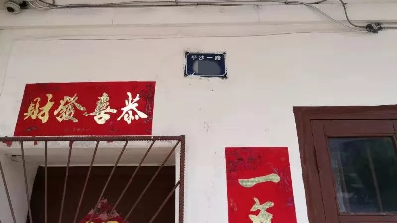 珠海女大学生刚拿驾照，开车回校途中撞死老伯！车上两同学却说没看见！