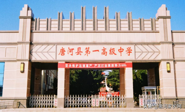 唐河县第一高级中学：广纳天下英才，振兴唐河教育