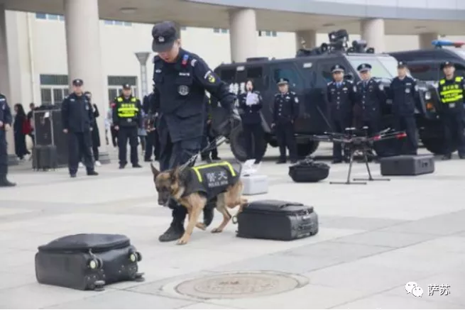 “犬王”带警犬追击案犯，在废墟中与无人机配合上演高科技抓捕