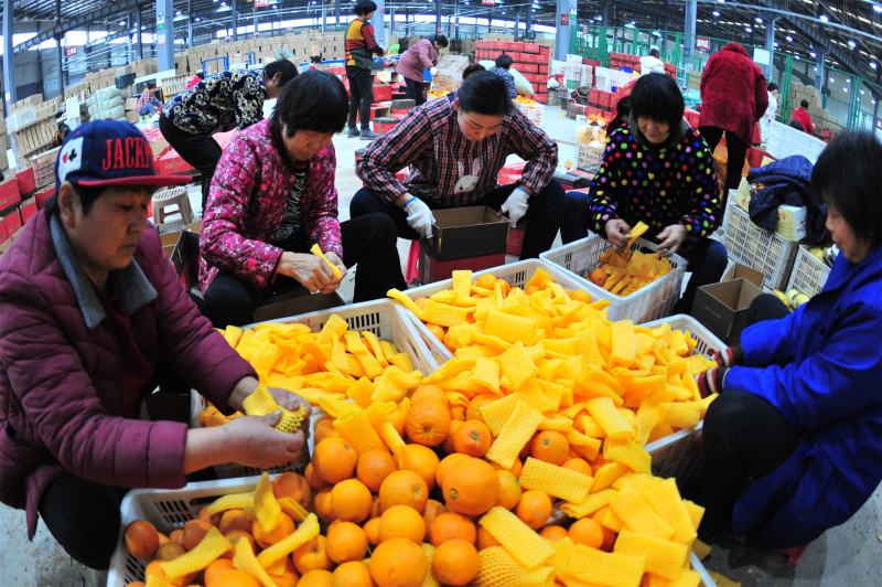 不送烟酒不托熟人，一周办好《食品经营许可证》，流程供大家参考