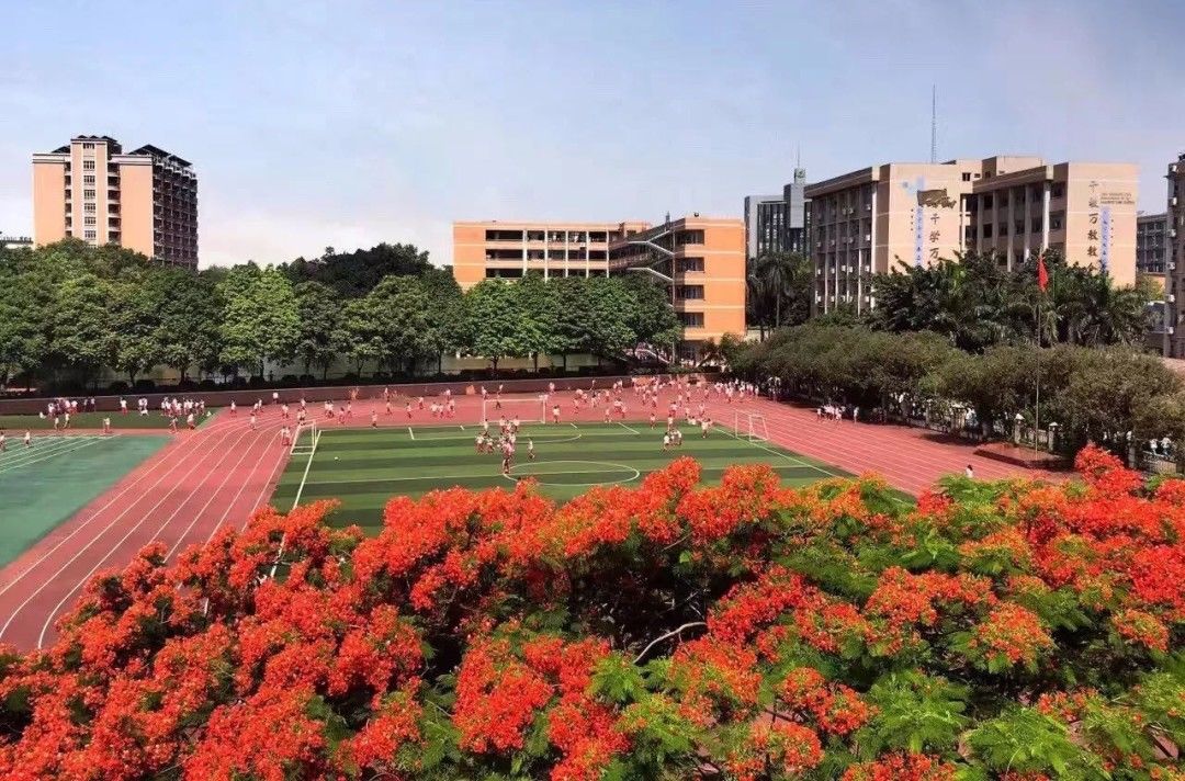 在读家长谈广外外校，选对了学校是一种什么体验？