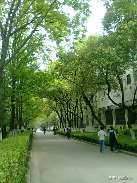 百年名校南京大学一日游，八年前的老照片带你回忆南大