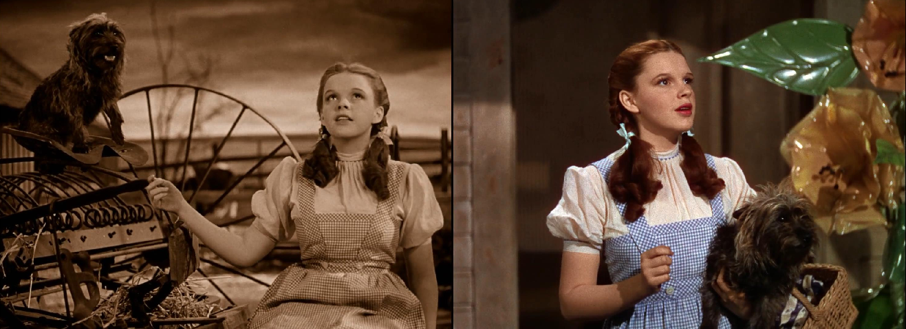 绿野仙踪电影剧情内容「详细介绍」 _晶羽科技