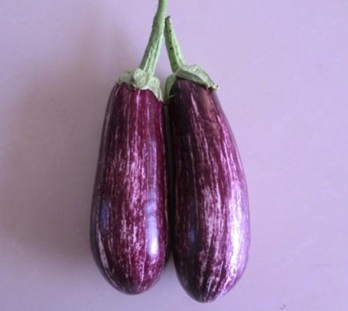 本文简介:茄子经常有人买,我吃得太多了.