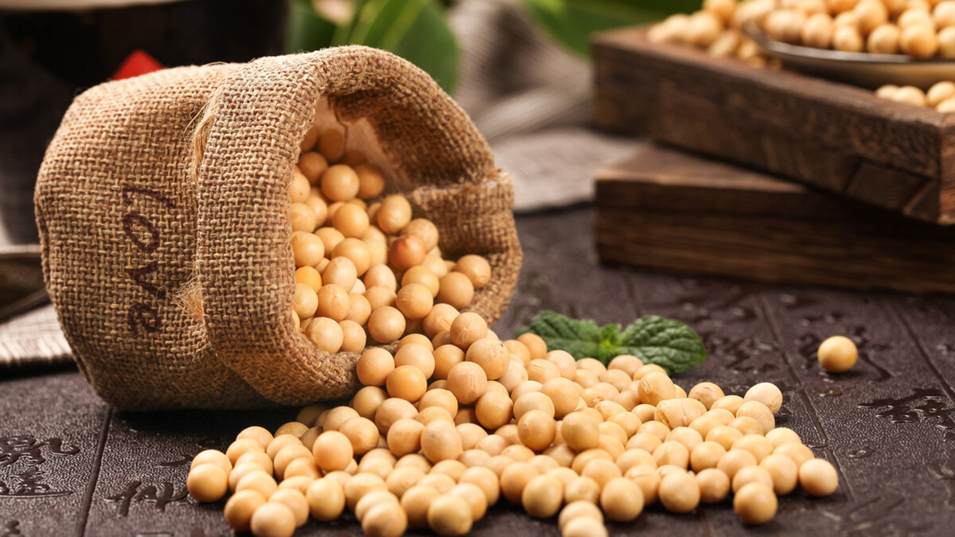 菽是指哪类农作物 稷是指什么农作物