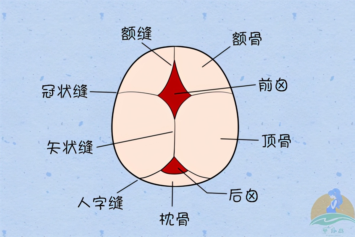 “奶奶为什么给我睡扁头？”宝宝头型不美观，三个方法可以矫正