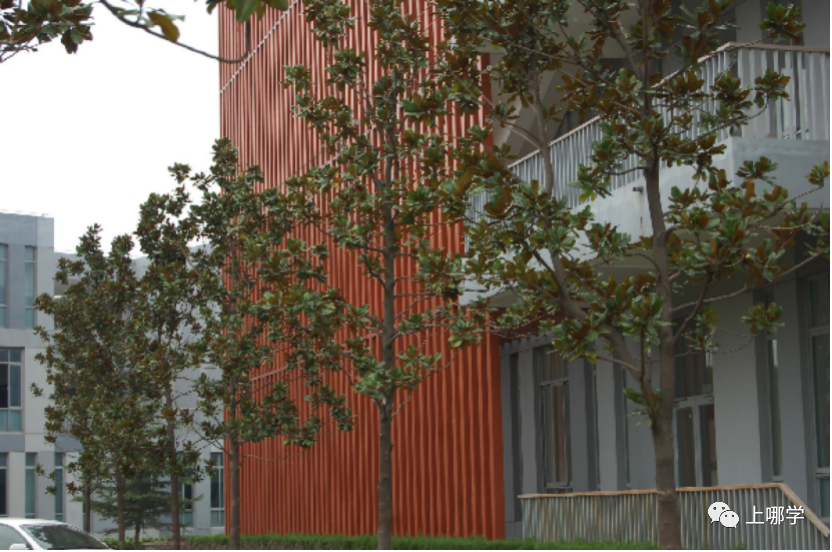 逆袭！上海这10所学校要翻身了