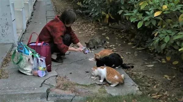 猫咪伸爪把我抓伤了，不打疫苗我会死吗？