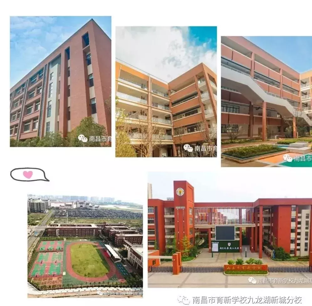 南昌华南城过渡学校云溪学校,育新学校九龙湖分校中考双双传喜报