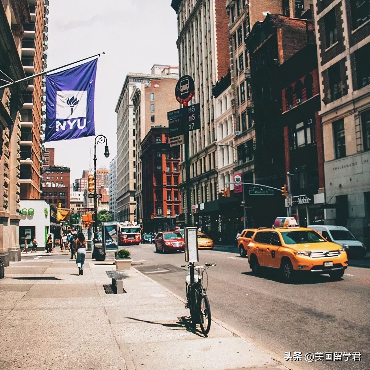 纽约有哪些大学（纽约大学的独家记忆）