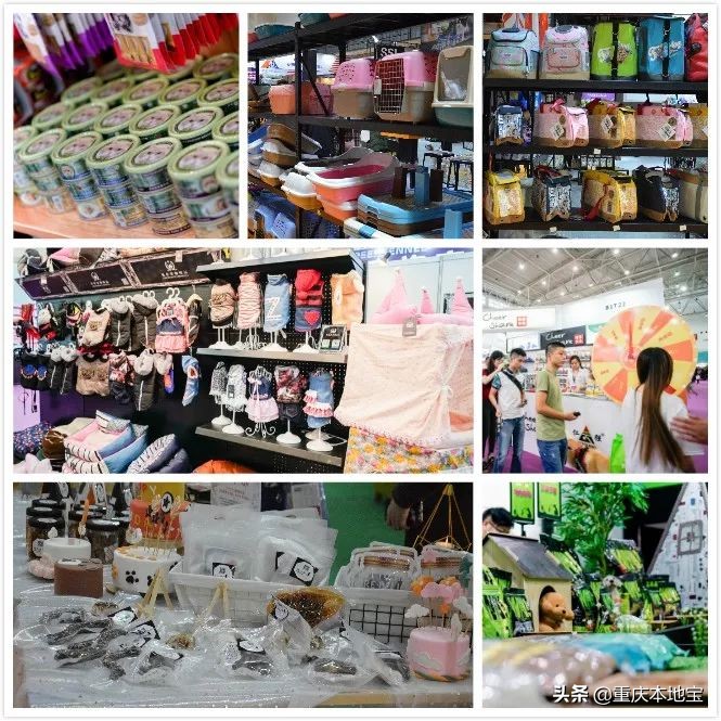 一大波萌宠来袭！国际宠博会落地重庆！还有限量免费门票可以领