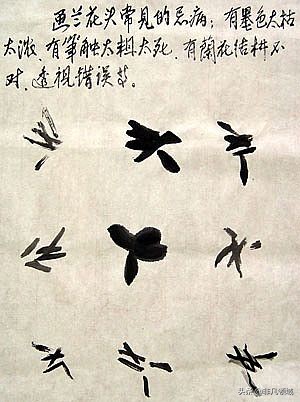 中国画写意花鸟画入门大全