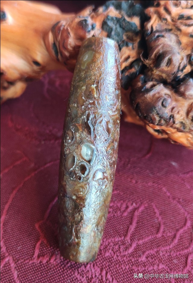 罕见珍贵的西藏法螺天珠(第一代天珠,真天珠)古老天珠风化表象(三眼