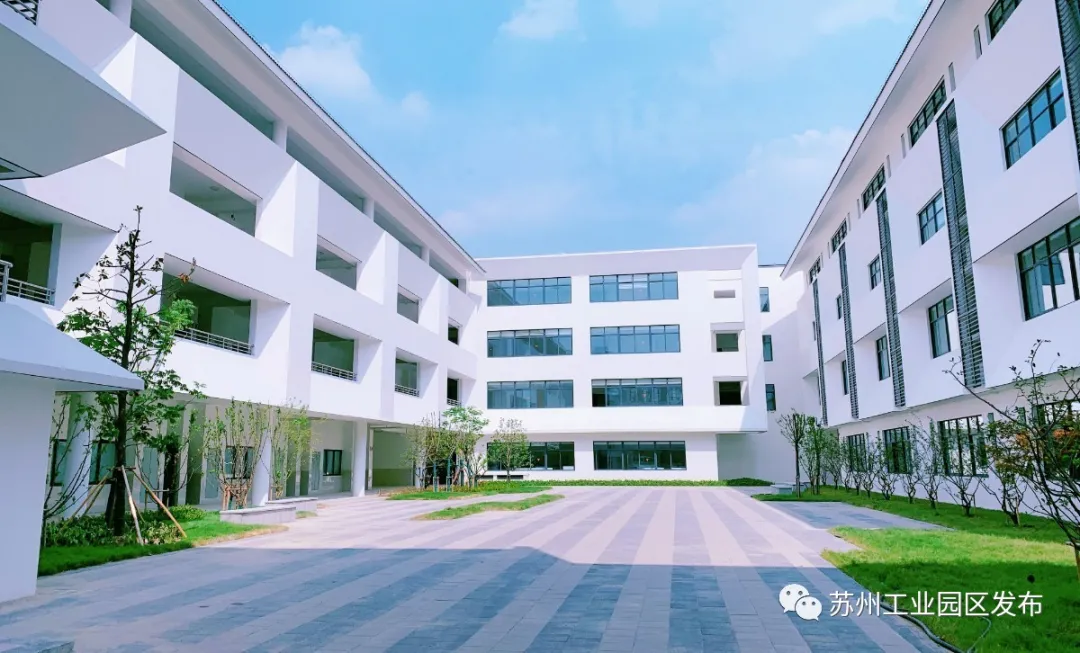 喜迎开学季，园区这些新校启用