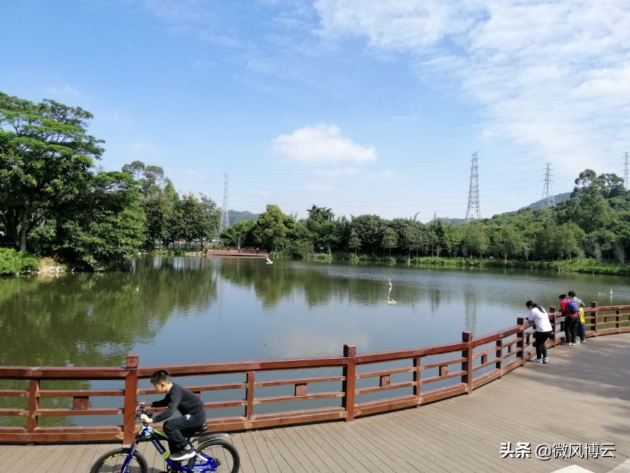 红树林公园好玩吗_红树林海滨公园_深圳市红树林海滨生态公园