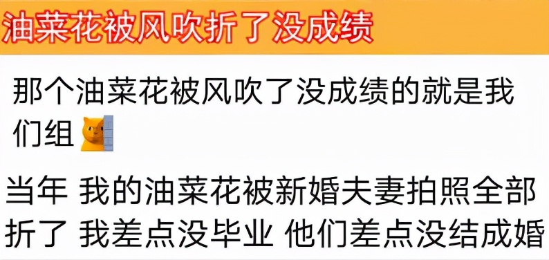 学农人的挂科理由火了，完成毕业论文真不容易，又心疼又想笑