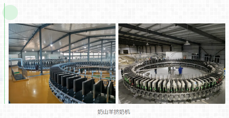新西蘭不只出口奶粉……