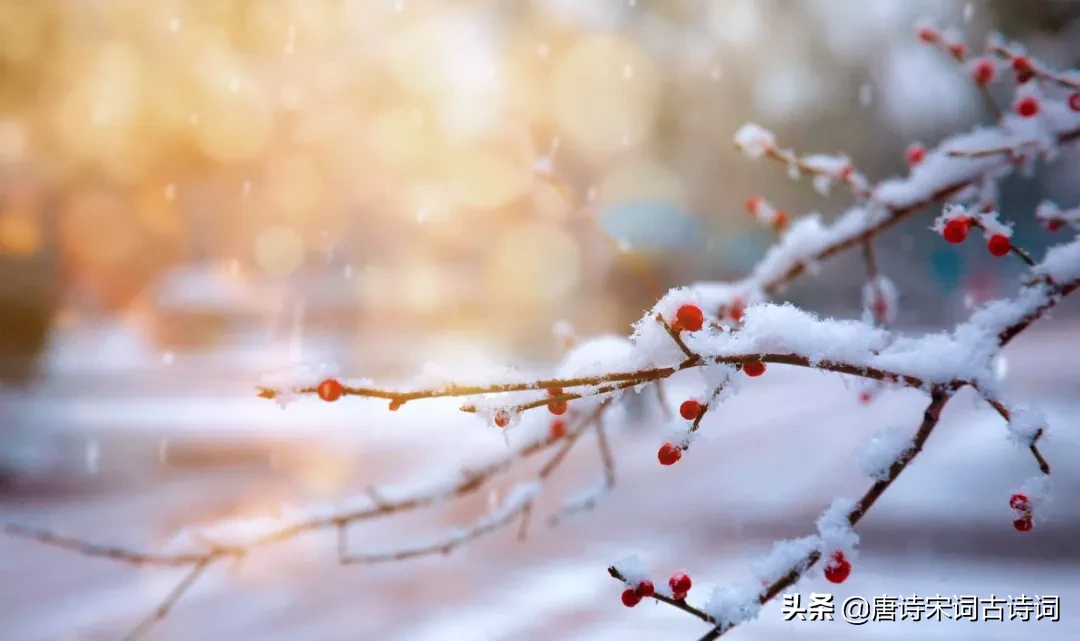 诗词 | 待到寒冬腊月尽，又是一年好春时