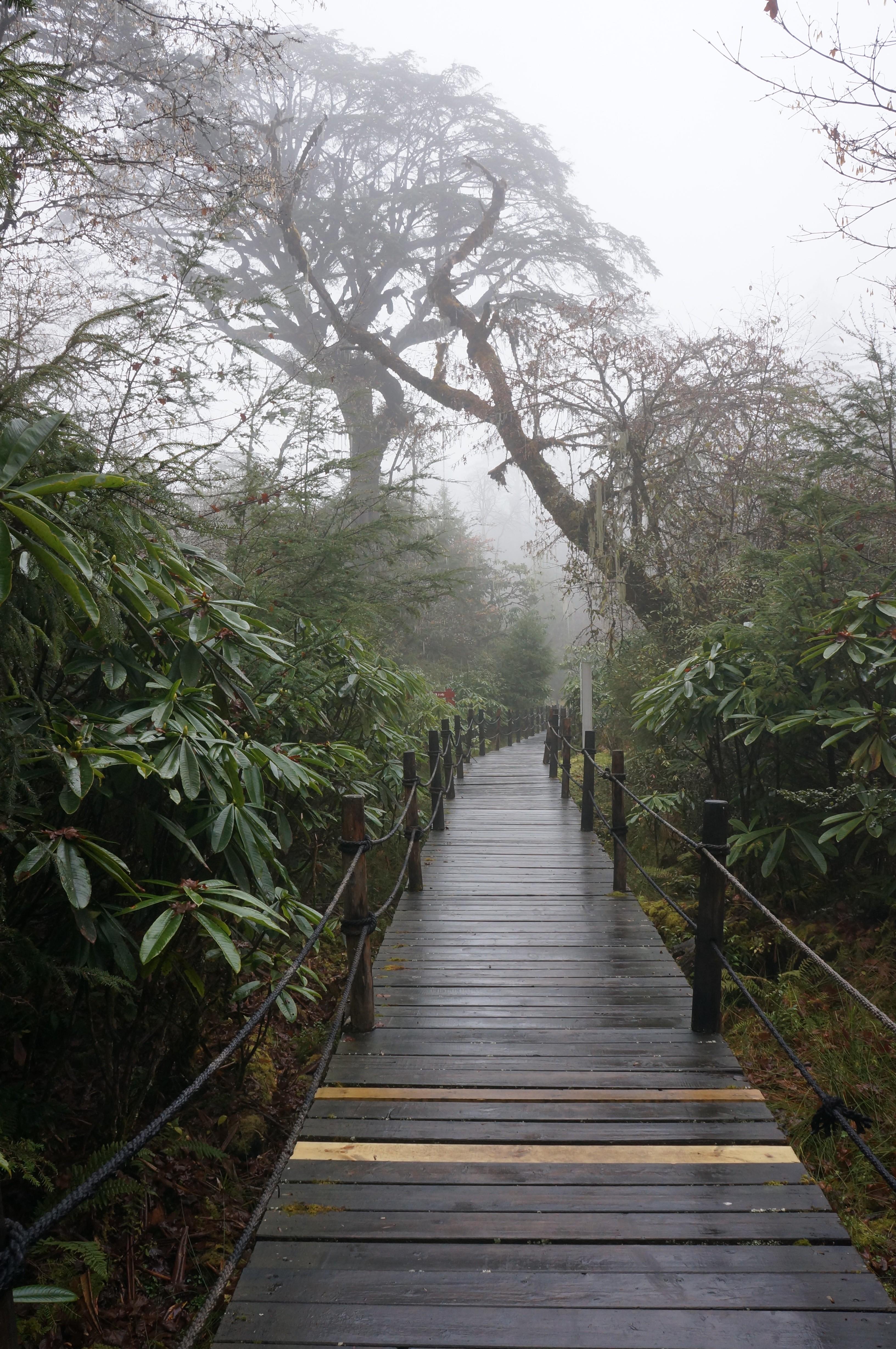 四川燕子溝景區旅遊攻略_四川燕子溝在哪裡 - 密雲旅遊