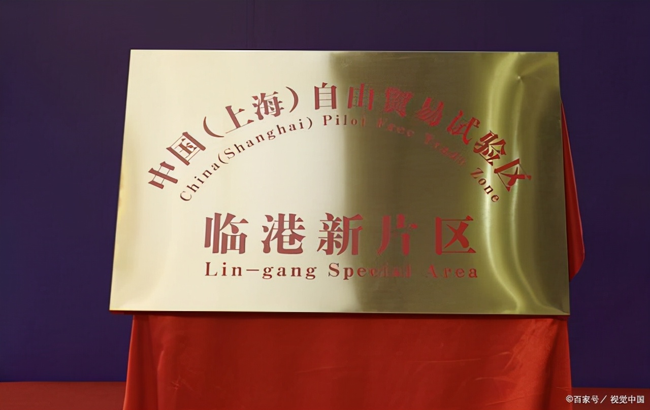 临港新片区大学或将问世，五所高校参与合并，学生留言提出建议