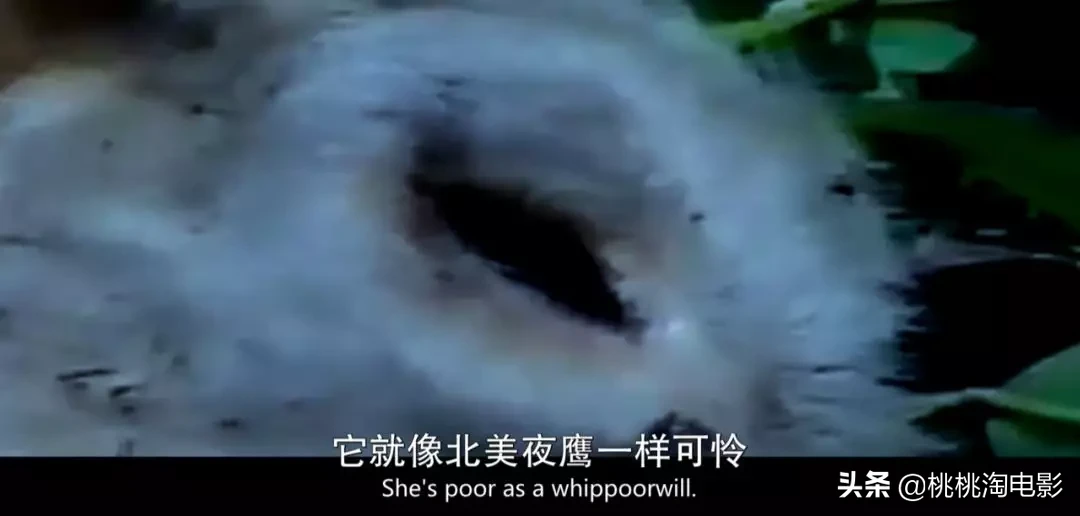 这才是2019年最应该记住的电影，奥斯卡即使被提名也没有被给予。