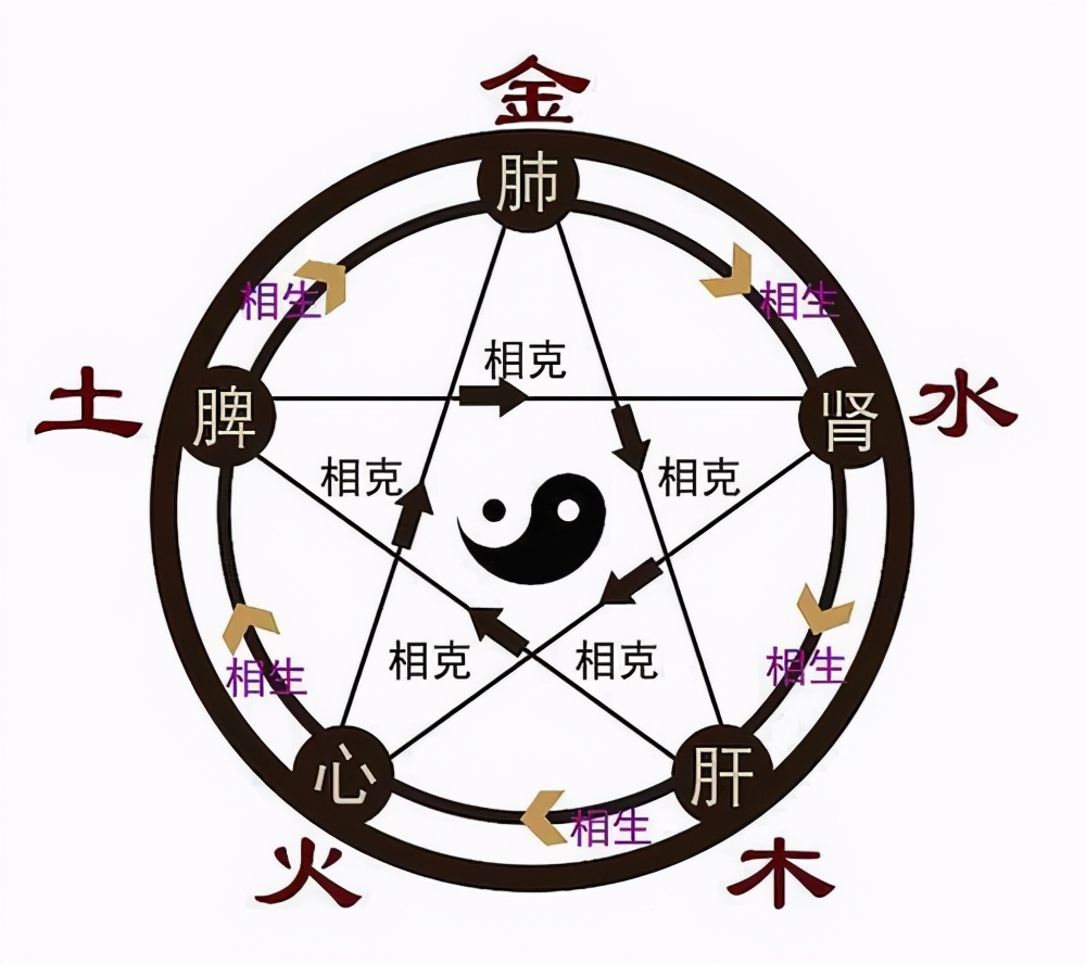心肝脾肺肾对应的五行 心肝脾肺肾对应的情绪 时代开运网