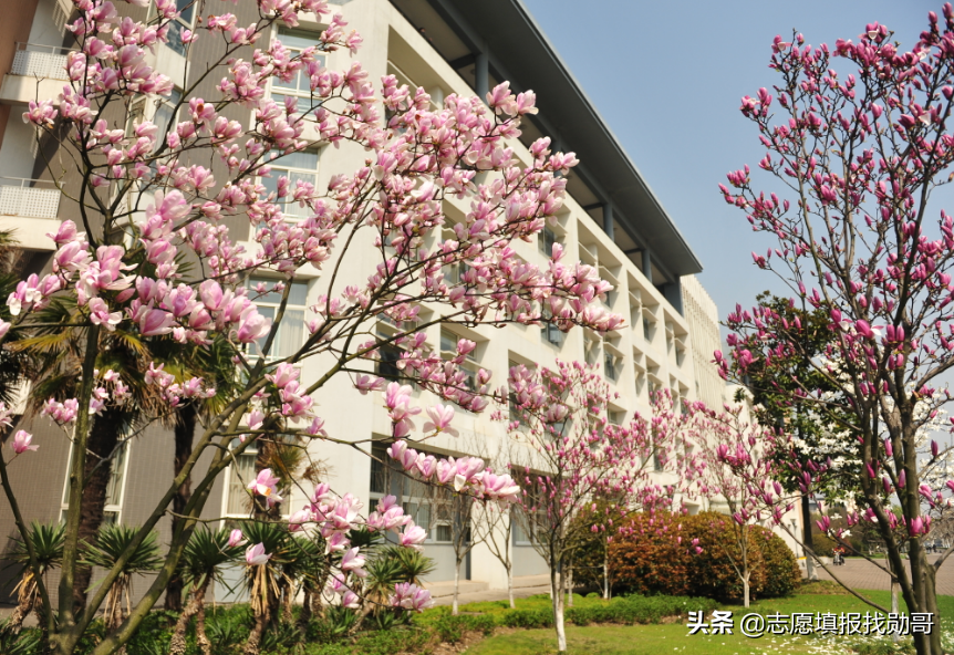 这所大学，是行业“黄埔军校”，却常被误认为民办！有的省可捡漏