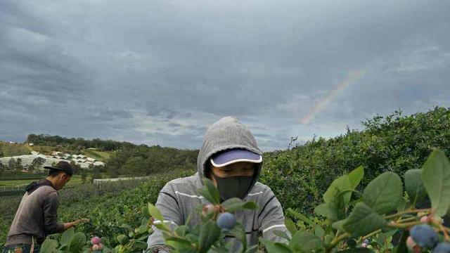 海外疫情形势严峻，出国劳务如何选择