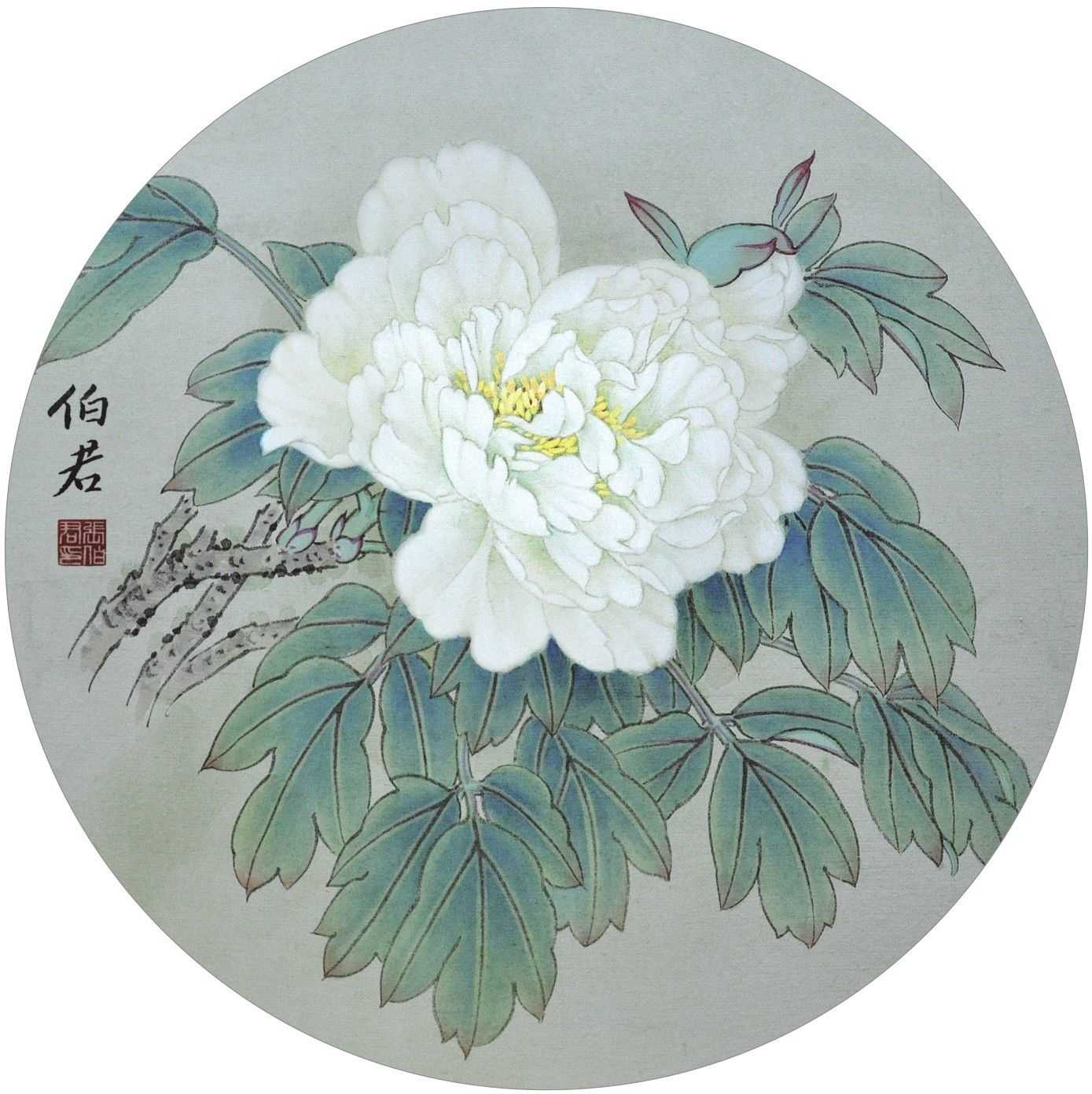 白牡丹工笔画很难画?分步骤图解教你画,简单易学,收藏起来临摹