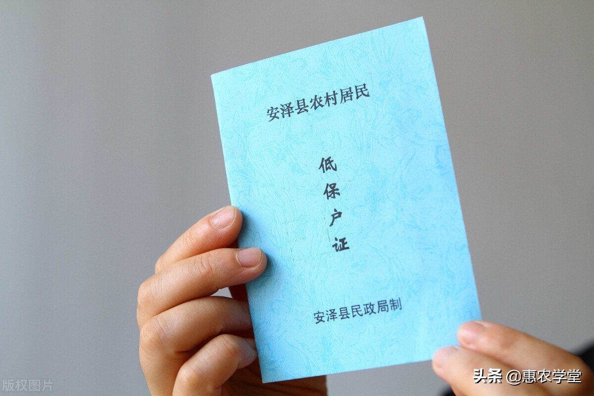 农村低保户不用交新农合吗？是全家免交吗？2021年低保户补助解读