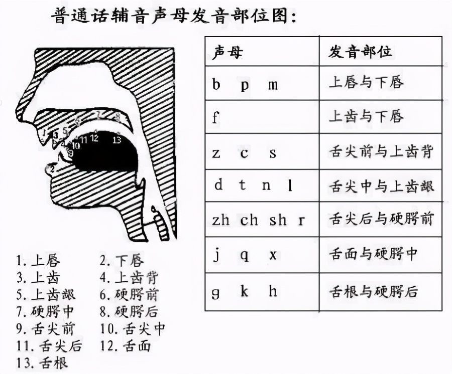 聲音,聲母的分類,發音部位,發音方法,清音,濁音