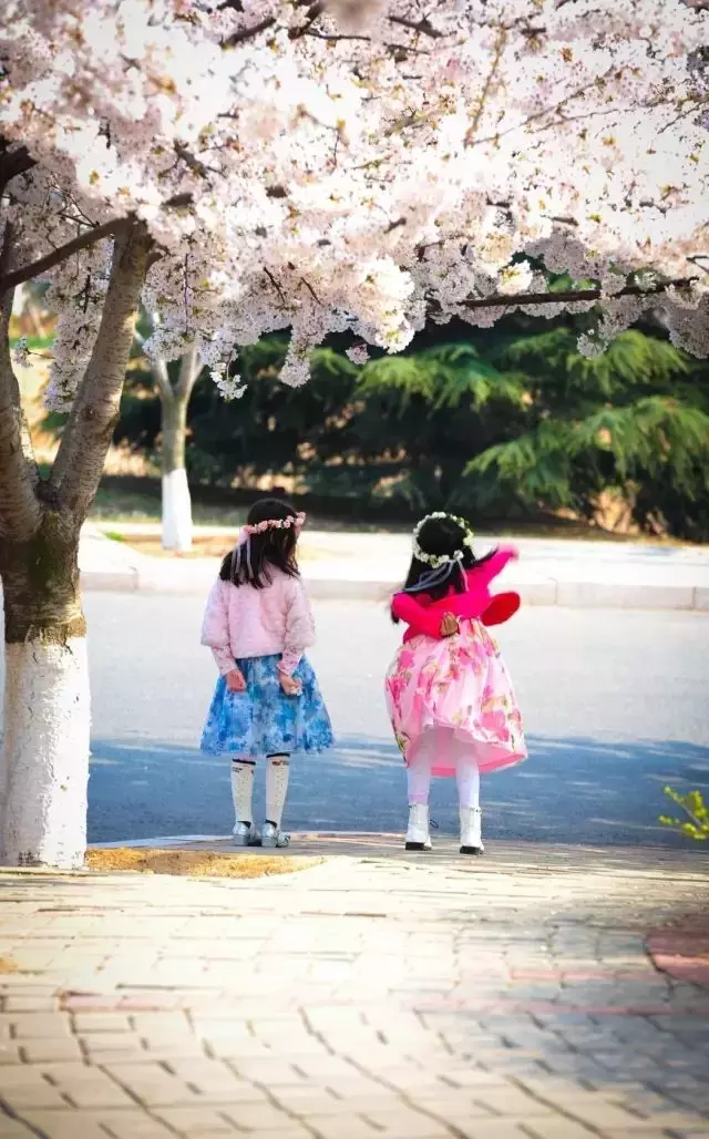 开学了，去青岛最美大学去逛一逛吧，个个堪比5A级景区