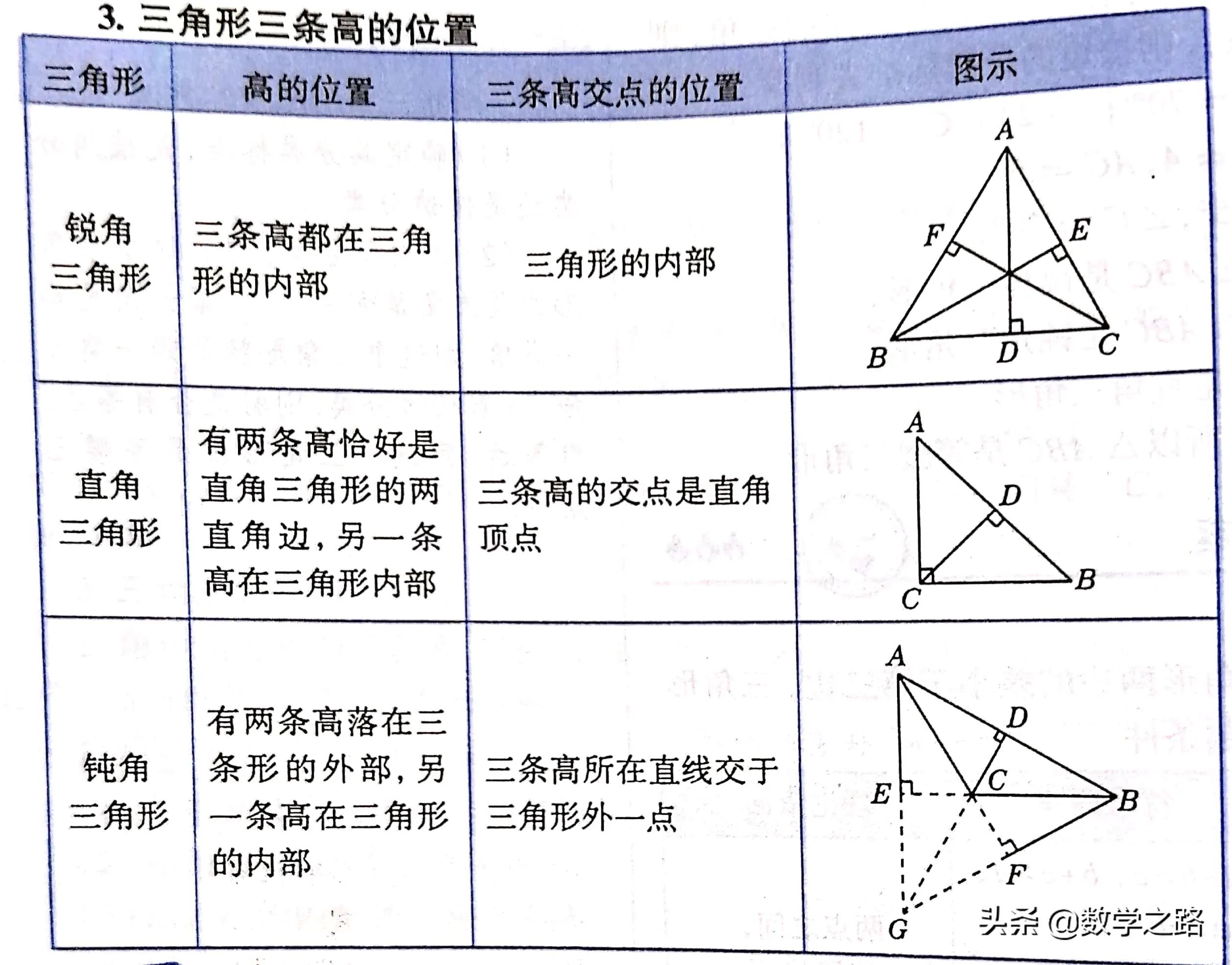 每个三角形都有几条高（所有的三角形都有三条高）-第1张图片-易算准