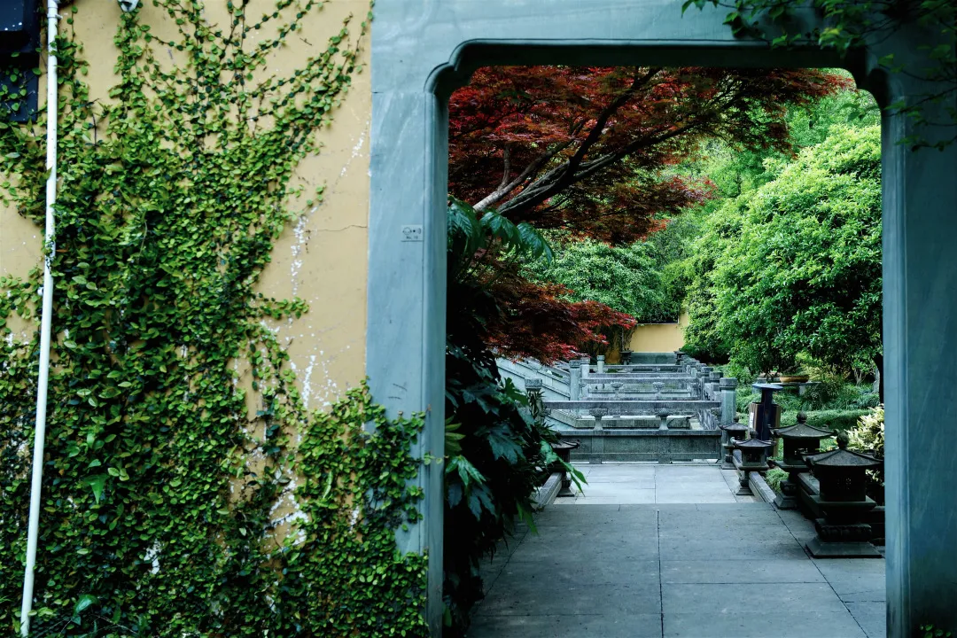 杭州终极拜佛攻略｜走这条路，一天解锁灵隐法喜7大宝藏寺庙