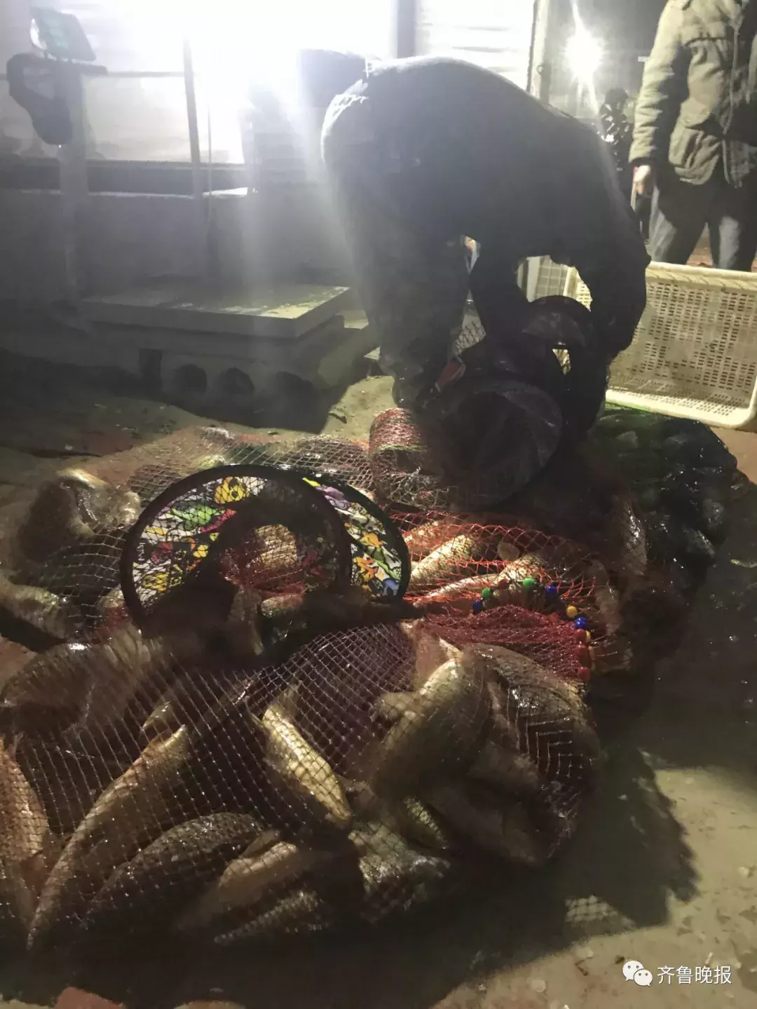 花千元钓鱼仅回本两三百!商业性鱼塘“黑坑”大量吸金… 警方回应:涉嫌赌博!