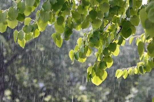 和风细雨风景图片图片