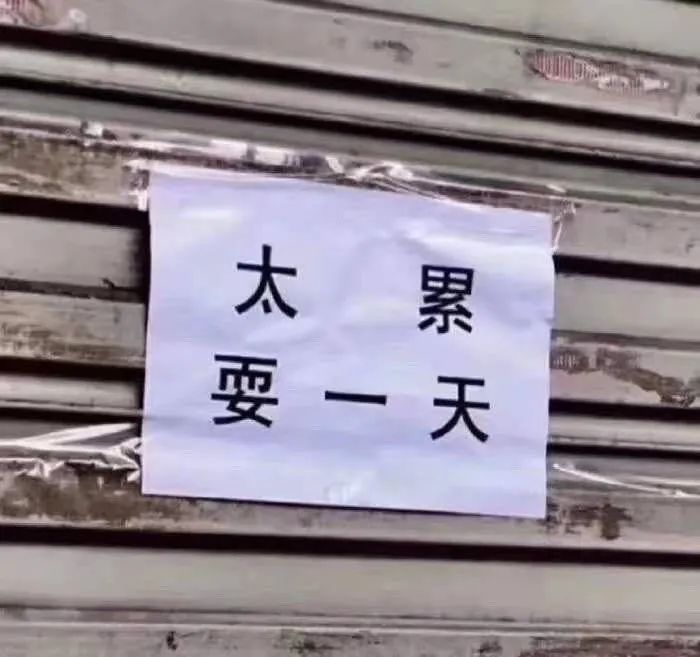 币圈疯了：炒完狗币炒屎币，下一步是炒LowB？