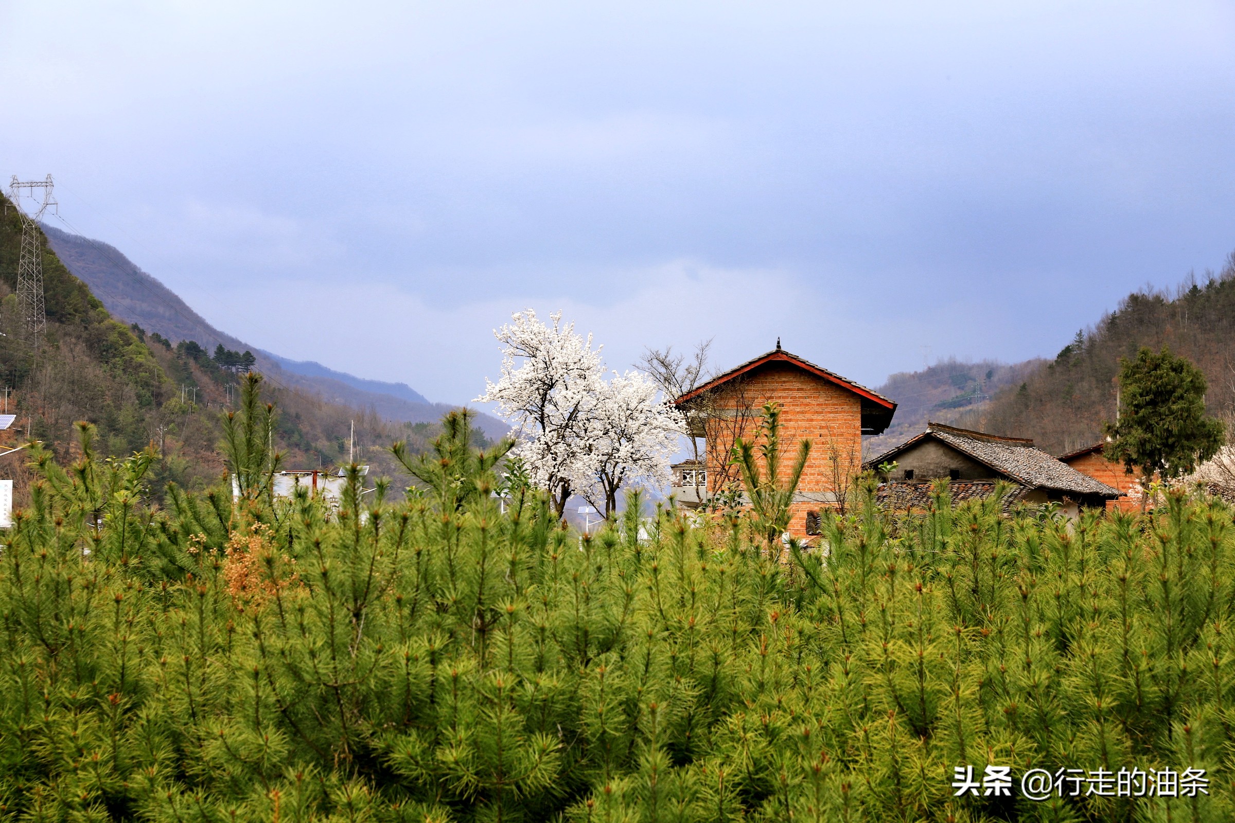 陕西佛坪：秦岭脚下的隐密胜地，世界旅游组织说这里最具旅游价值