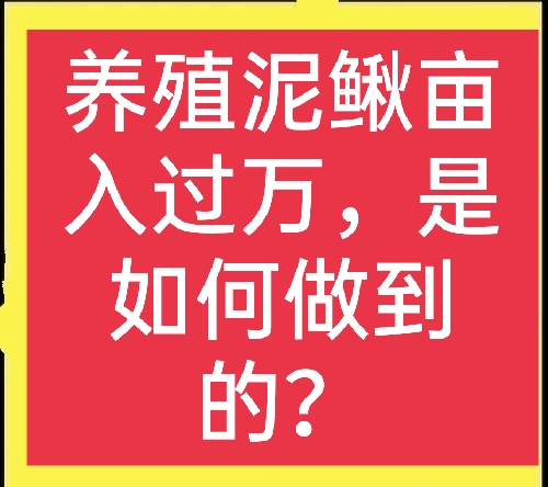 养殖泥鳅的利润、产量如何？养殖泥鳅需要什么条件，一文说清