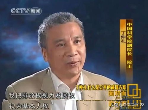 中国人是不是人？央视主持人柴静因何从“公知女神”沦为全网群嘲