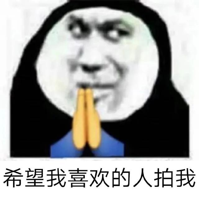 拍一拍表情包 拍了拍了会长不高的