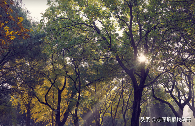 合肥工业大学机械工程学院（想学机器人工程）