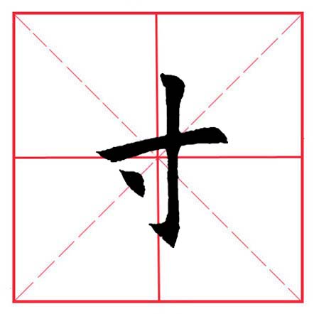 寸字旁的有哪些字(寸字旁的有哪些字二年级) - 武陵观察网