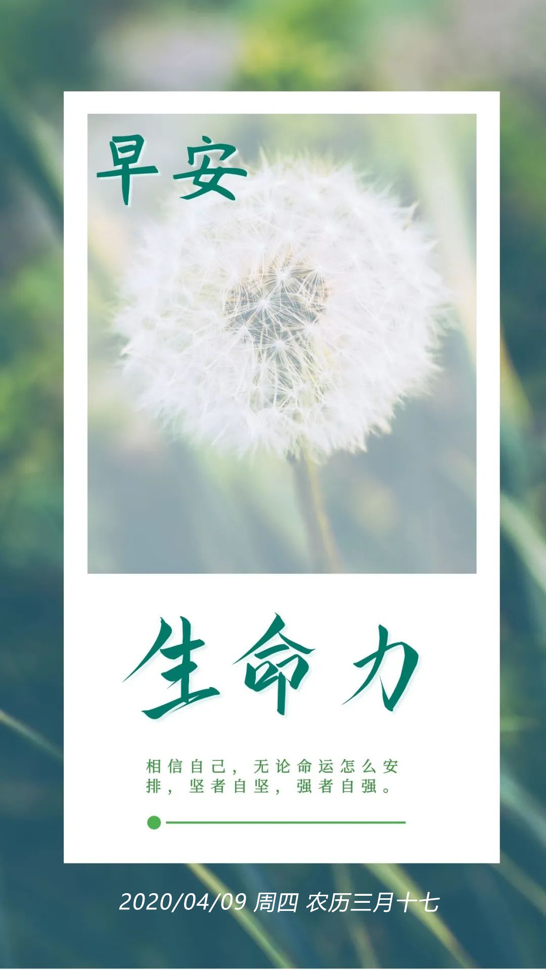 星期四阳光正能量早安图片日签加字：坚者自坚，强者自强