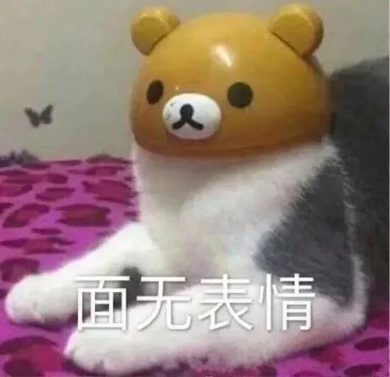 搞笑表情包：小猫咪都觉得脑子不够用了