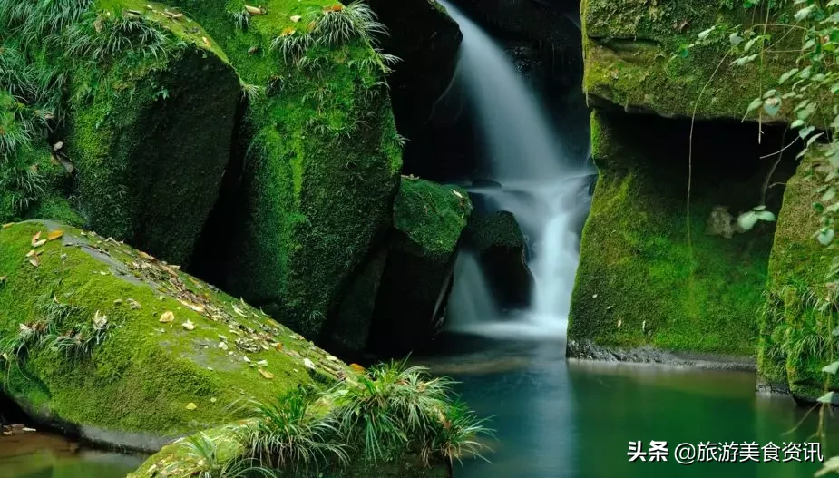 雅安邀你来听雨：天地之润，万物之养，雅雨之灵，雅安之魂