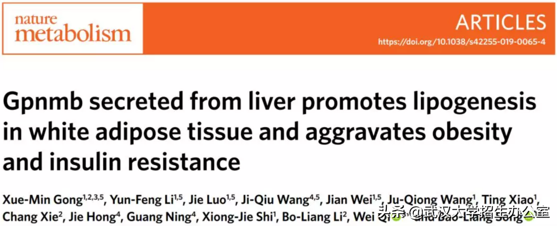 每年死亡人数超500万！中国学者多项糖尿病研究新发现，引发国际关注！